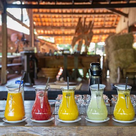 Hotel Fazenda Igarapes 외부 사진